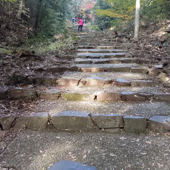 石段が続く