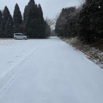 駐車場🅿️までが想像以上に危険でした⚠️
途中まで1人で山道をクルクル🚙回ってましたが、
上から来た人に、
これ以上は雪で滑って上がれないから、
もう降りた方がいいと引き返されていて、
私は少し広い所に駐車し
後ろからきたシンさんの四駆に乗り換える🚙
シンさんありがとうございました😭
あれ、しんさんの車じゃなかったら、
駐車場🅿️まで辿りつけなかったと思います。
