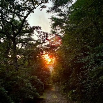 真っ直ぐこちらに伸びてくる夕陽🌅

今日の1日に心から感謝です✨