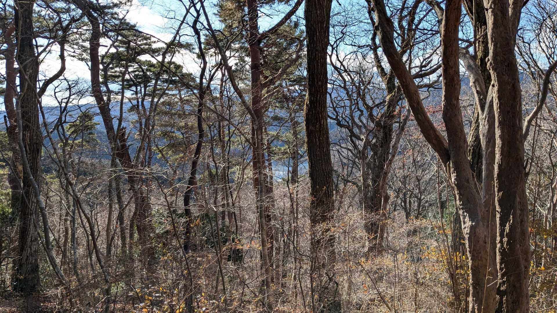 水沼山鷹巣山登山口-水沼山-鷹巣山-水沼ダム 周回コースの写真