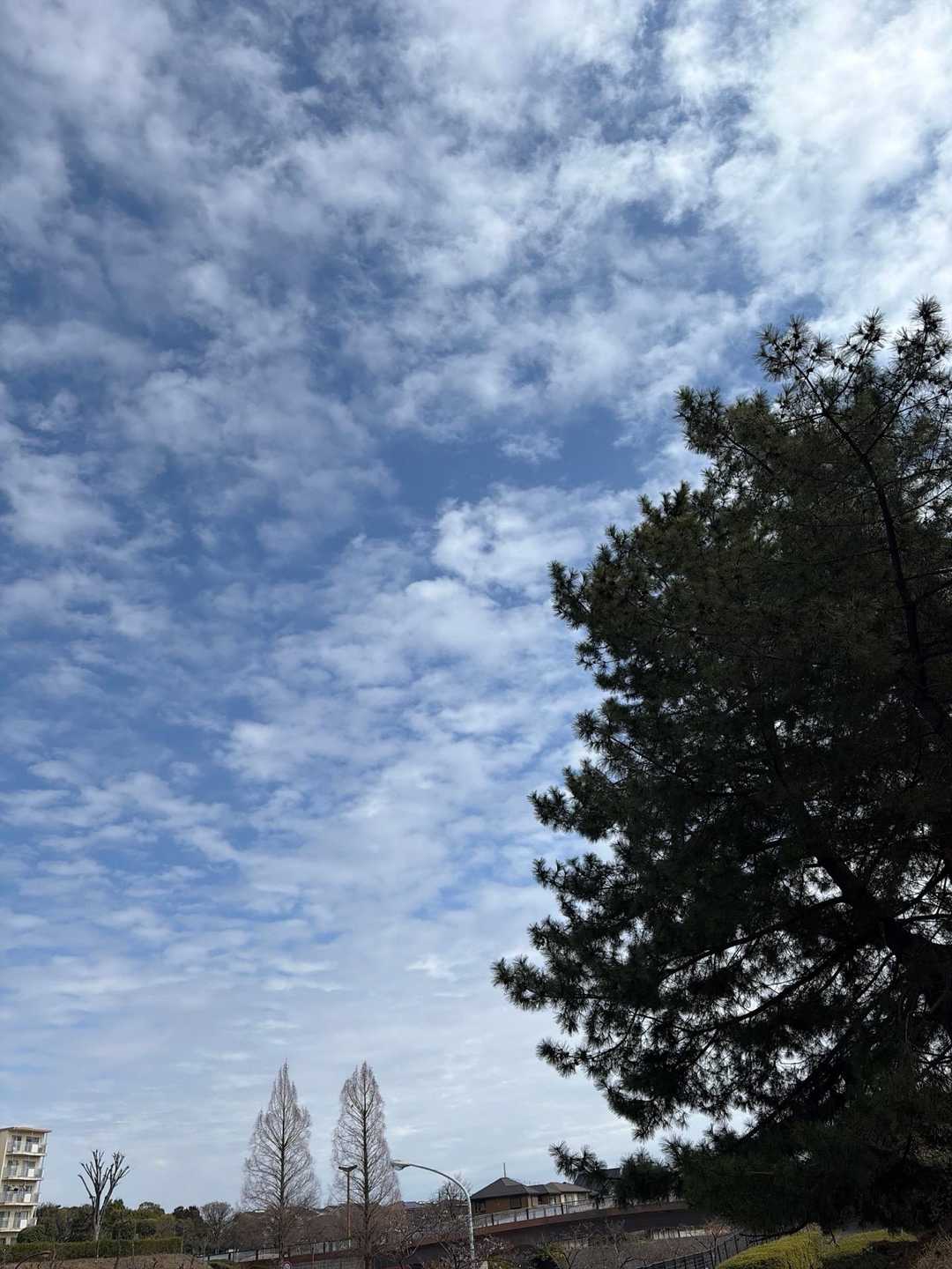 青空が出てきました