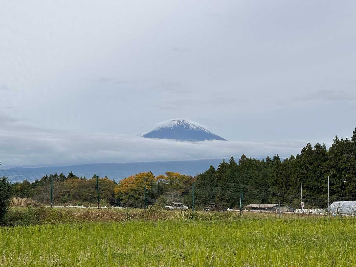 朝は頭を出していた富士山