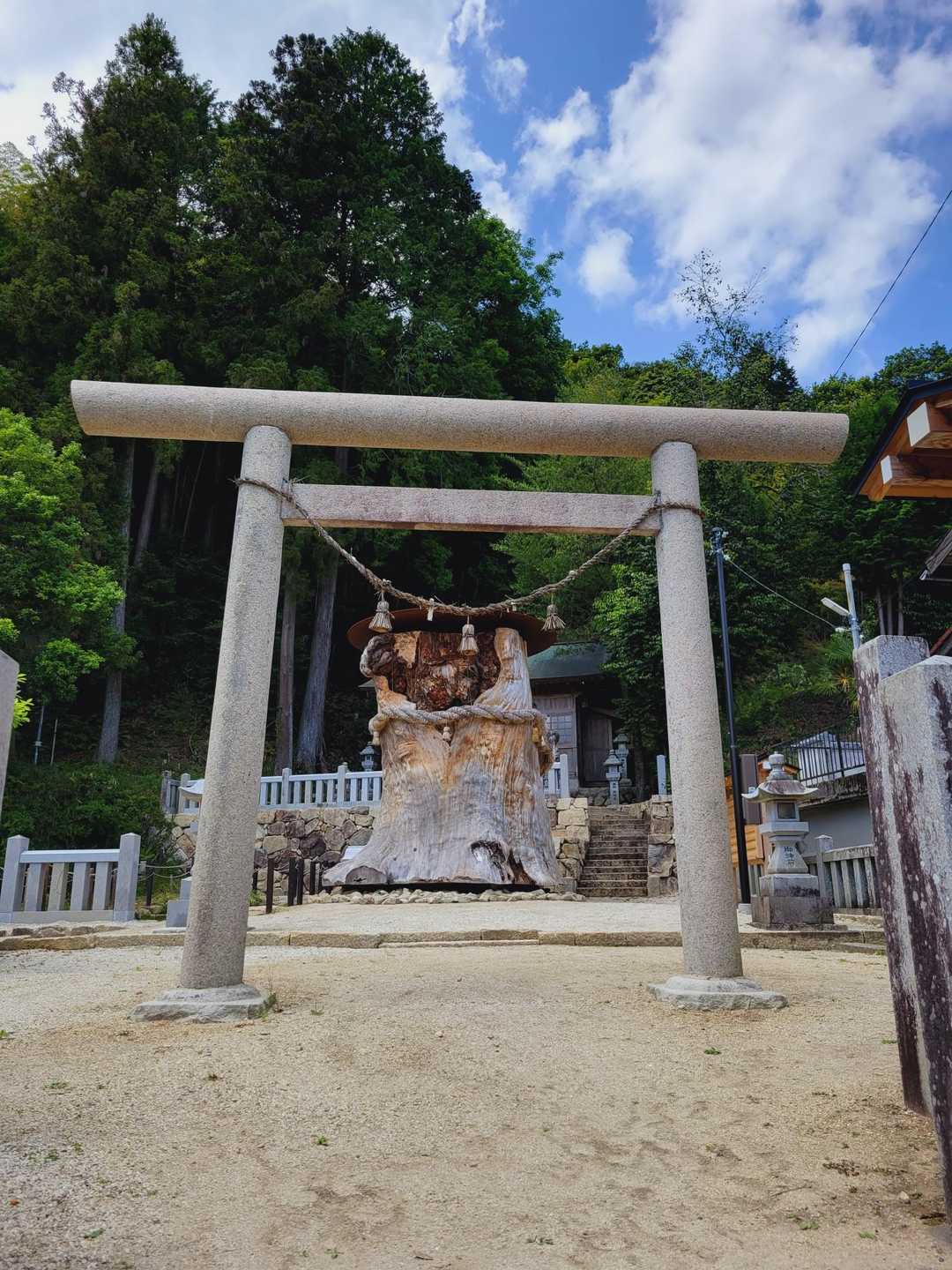 大湫コミュニティセンターバス停-本陣山 周回コースの写真