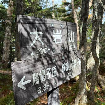 到着！
ココからは走れるぞ〜