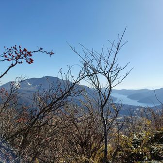 随分芦ノ湖が見えるようになる