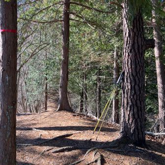 小沢ノ頭。山頂標なし。