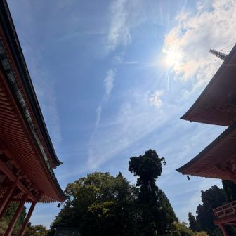 寺社に