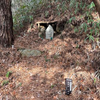 シュラインロードは石仏の道ですね
