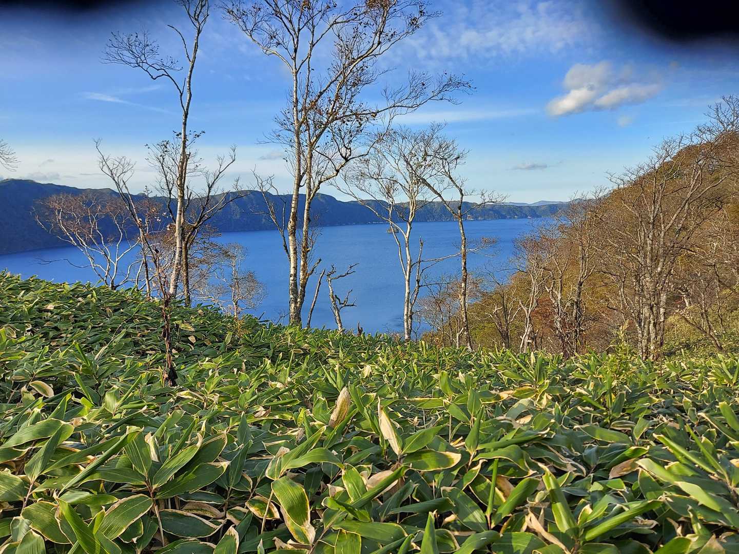 摩周岳-西別岳 往復コースの写真