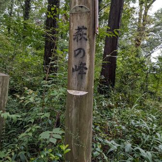 萩の峰山頂の山名柱(標高１８０ｍ)