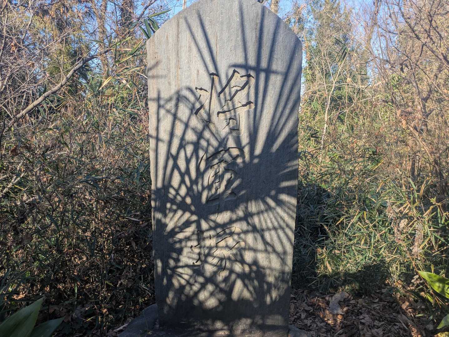 八国山（将軍塚）登頂🙌