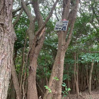 今日の最終目標地点｡ここで丸太に腰掛けて休憩｡