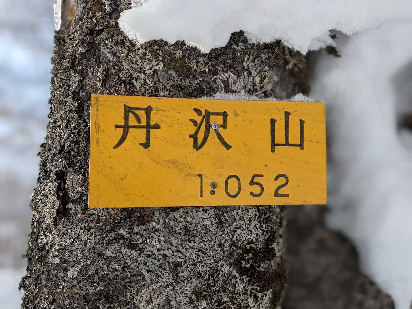 雪を取り除いてパシャリ📷✨