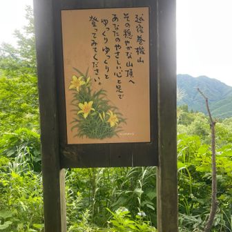 登る前に教えて欲しかったな。笑