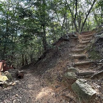 下山します。また分かりづらいですが、右上↗️に進みます。