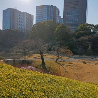 小廬山　標高12mからの眺め