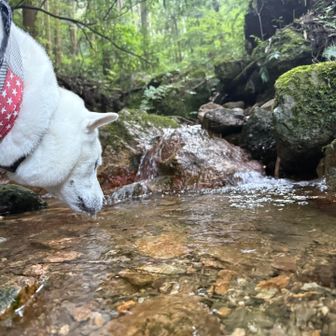 いつもの場所で水分補給
