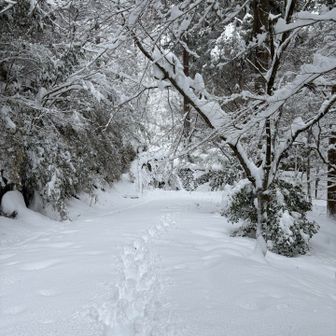 太ももまで埋まりながら下山