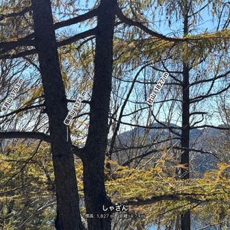 山頂の眺望はこんな感じ
