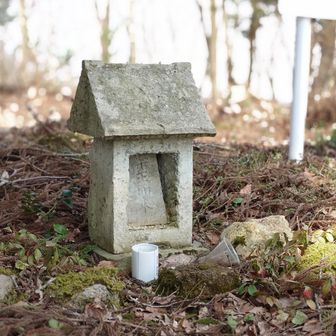 お薬師様に🙏して下山