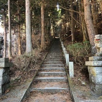 ハイ、最初からずっと階段です。