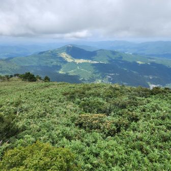 山頂で食べたコンビニのおにぎりが過去一に美味かったです。