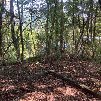 保福寺山の山頂。
持ってきたポールで古のドラクエ歩き（剣や杖を振りながら歩く）をしながら進む。
道は別に険しくないが、やはり蜘蛛の巣が鬱陶しい。