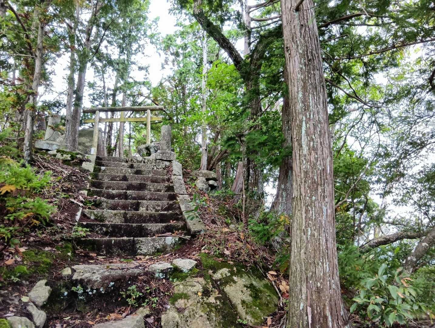 三角山 往復コースの写真