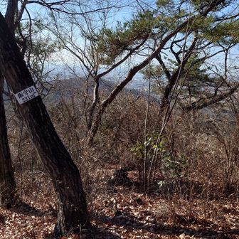飯守山山頂