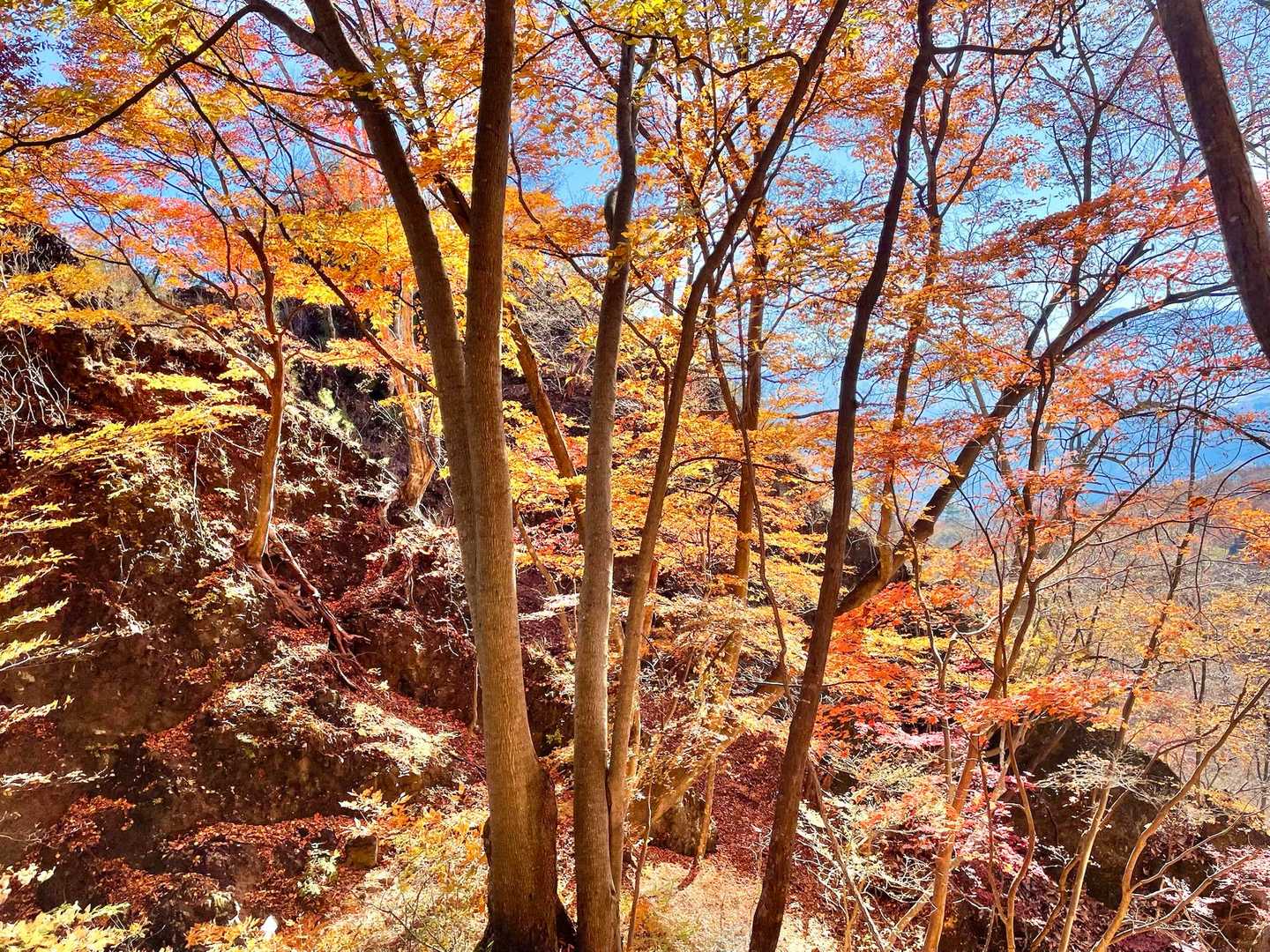 岩櫃山 往復コースの写真