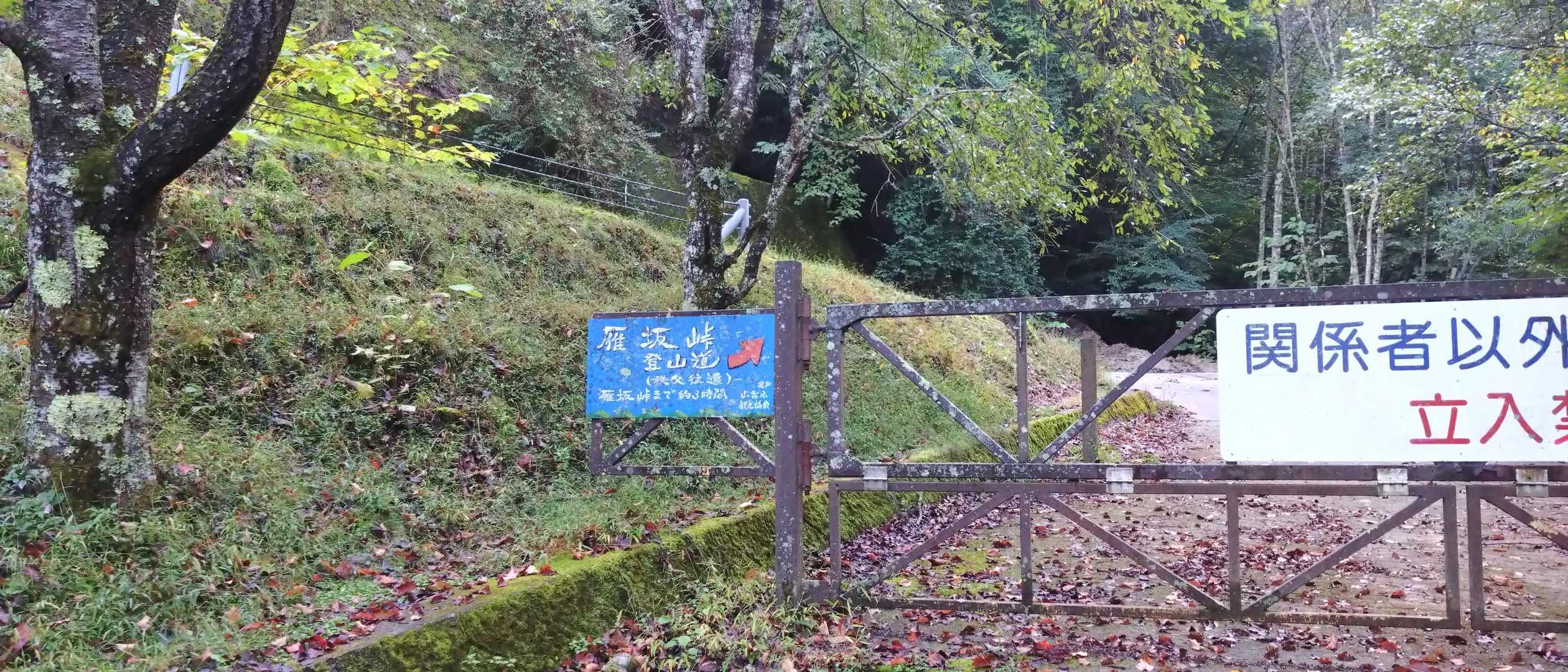 行ってよさそう。