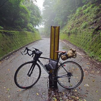 とりあえず半原越は登ってきたけれど山登りは楽しめなさそうなので引き返します