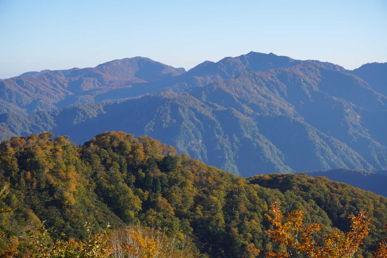 振り返ると大笠山(左)と田中陽希に「もう…２度と来たくない」と言わせた笈ヶ岳(右)が見えました⛰️、
いつの日か・・・