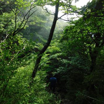 M氏とはココでお別れ👋´-  
管理人業務があるので𓂃⟡.·＊