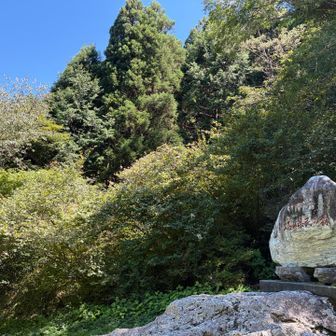 やっぱり安定の「県民の森」♪

天気も気温も最高の山の日でした👍