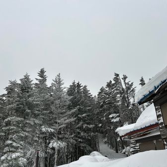 硫黄岳の稜線付近まで登ったのですが風が爆風すぎて撤退して来ました。体が一瞬浮くレベル。
飛ばされて死ぬかもって頭をよぎった。

さっきまで見えてた硫黄岳が数分足らずで全く見えず。ガスの中は嵐みたいでした。凄い音。

赤岳鉱泉に行けなくなったのでここでビバーク。
15時過ぎからちらほら雪が降ってきて夜は猛吹雪。硫黄岳は一晩中嵐の模様。
うるさくて寝れん。テントが吹っ飛びそうになるし、フライシートのチャック壊れて開かないし、たまに雪かきで外に出ないとダメやし、散々だった💦