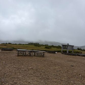食べ始める時に、まーた雨！☔️
15時頃まで天気もつかと期待したけど、降ったか…