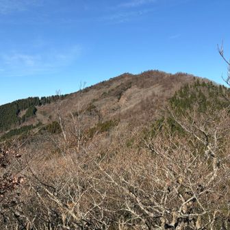 次に向う展望ポイント👀