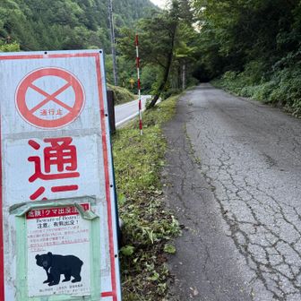 熊に注意⚠️
