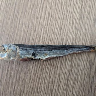 めざしちゃん王子