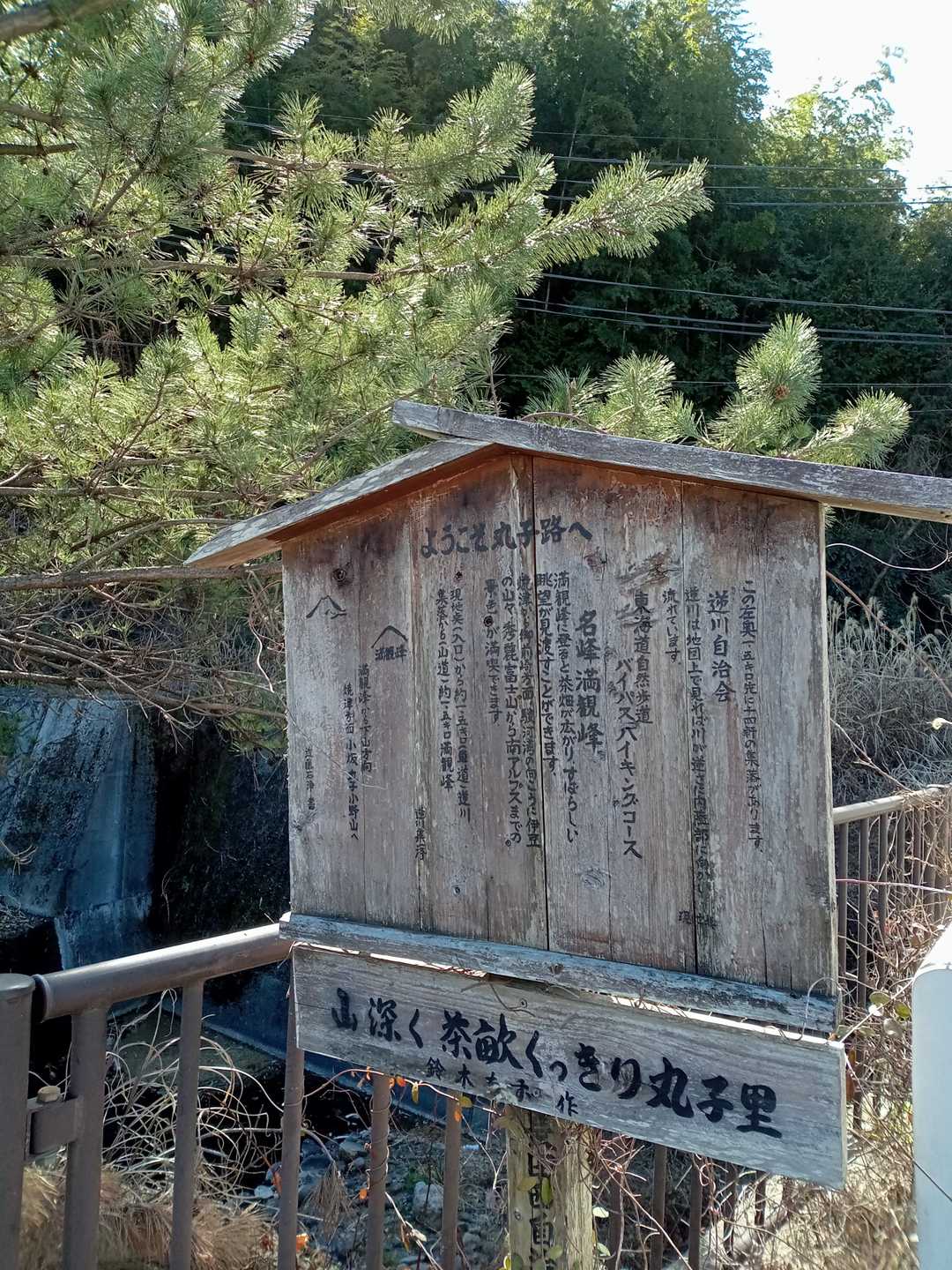 帰ってきました。車道を通り楽ちんな道でした。母に教えてあげよう。