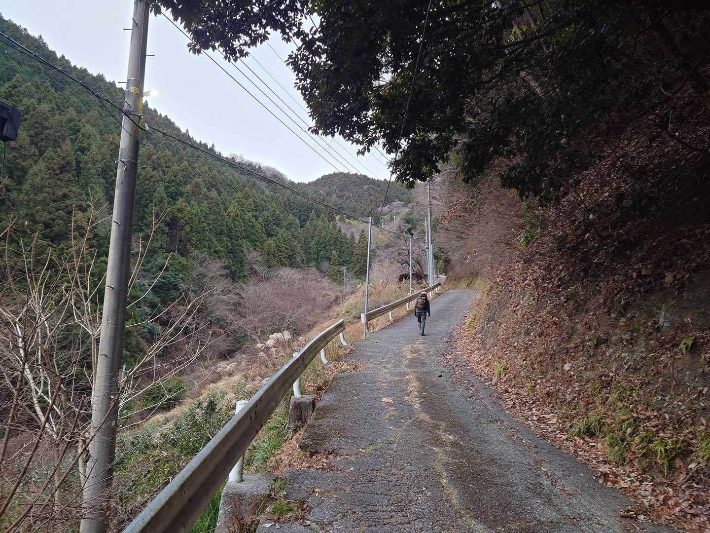 本日の核心部は最初のアス道の急道
キツかった😭