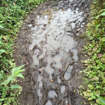 沢山歩かれてる