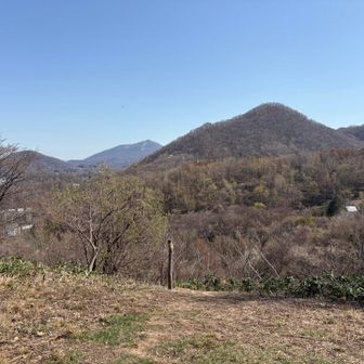 写真ではわかりませんが、こぶしの花で白い所がありました。三角山のどこに木あるのかしら？？