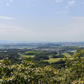 景色はそこまでですが、とりあえず楽しい😄