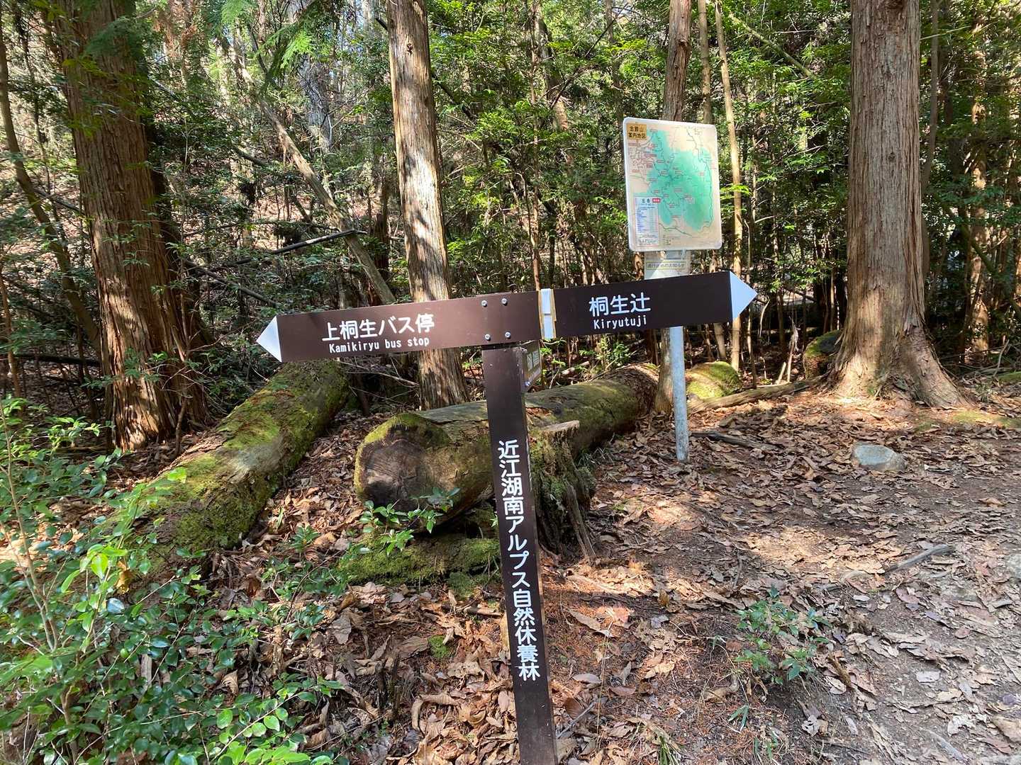 上桐生登山口-白石峰 周回コースの写真