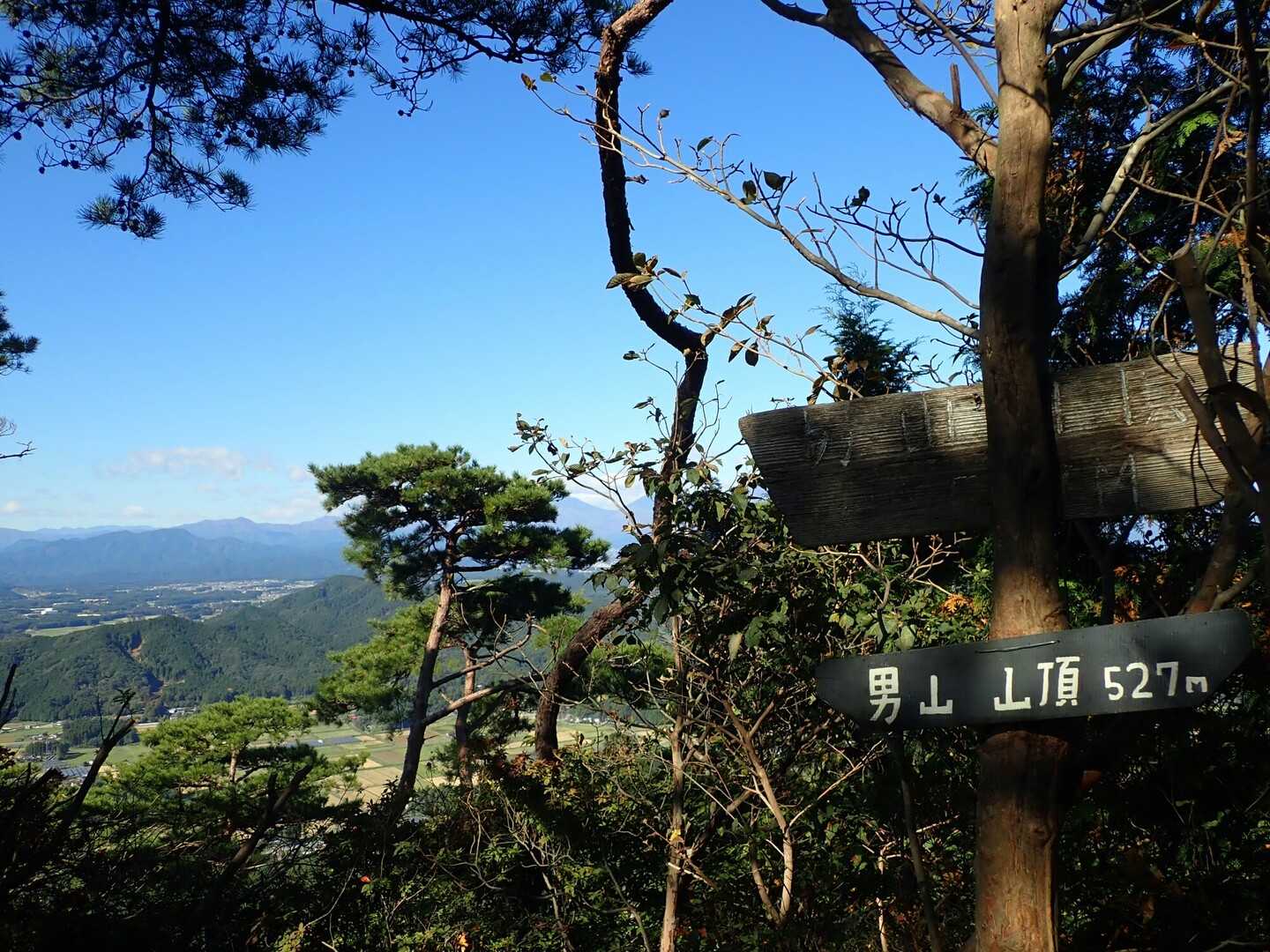 男山の写真