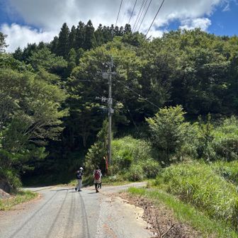 一旦下山して揺岳へ
別のお山に行ってた山友さんと合流