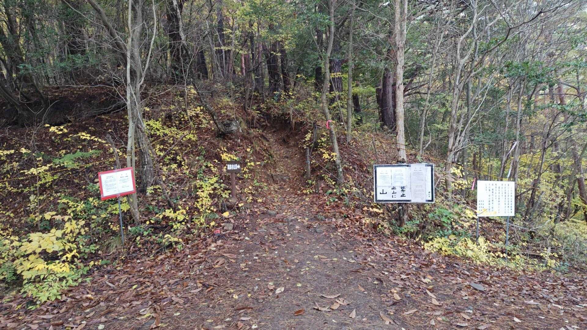 林道を横切り🚶