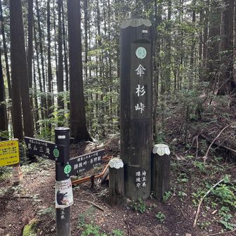 💁🏻‍♂️当初の登山計画のコースでは黒山三滝を朝イチ混む前に見たら少し戻るはずだったが脳内再生&地図上とリアルが違う為なんだか戻るのも面倒になり逆周りになってしまったが🤗モウマンタイ‼︎(アクシデントウェルカム〜傘杉峠にて‼︎)